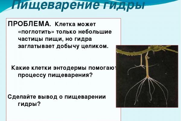 Кракен маркет плейс